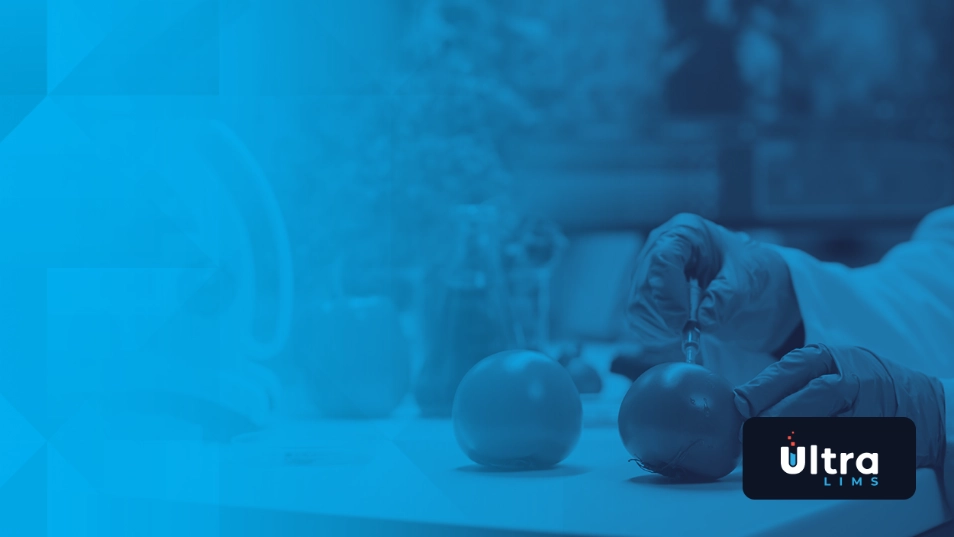 Análise de Alimentos e Microbiologia: essenciais para a segurança alimentar